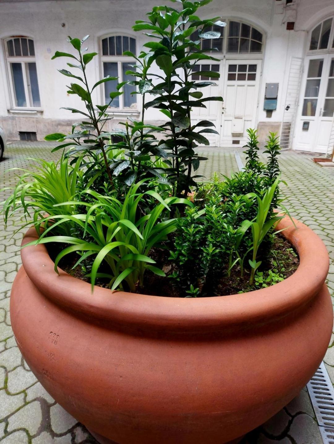 Like Studio City Centrum, Wifi, Terrace Budapest Bagian luar foto